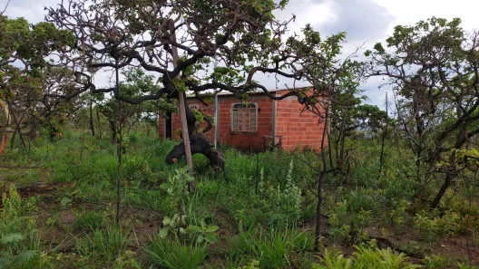 Fazenda / Sítio / Chácara com 1 Quarto à venda, 21000m² no Área Rural do Gama, Brasília