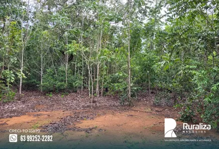 Fazenda / Sítio / Chácara à venda, 1243m² no , Divinópolis do Tocantins