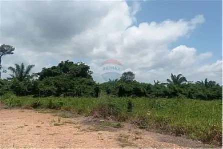 Terreno / Lote / Condomínio à venda, 2341m² no , Piçarra