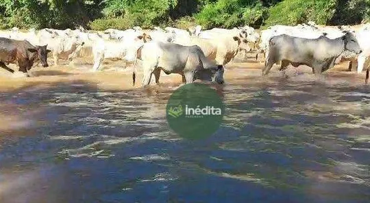 Fazenda / Sítio / Chácara à venda, 10648000m² no , Padre Bernardo