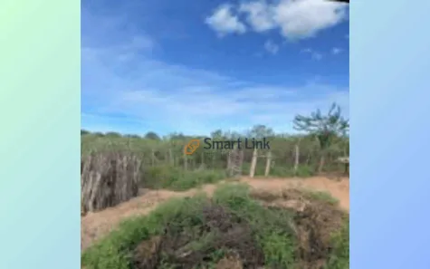 Terreno / Lote / Condomínio à venda, 41000m² no Mel de Baixo, Areia Branca