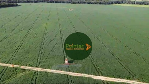 Fazenda / Sítio / Chácara à venda, 7000000m² no Parque Residencial Nova Fronteira, Gurupi