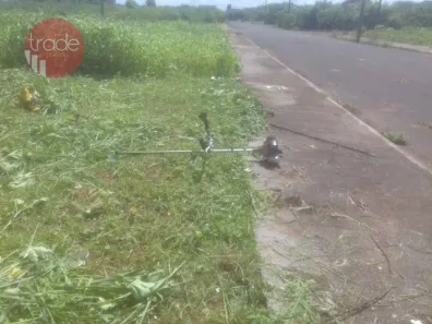 Terreno / Lote / Condomínio para venda ou aluguel, 6000m² no Campos Elíseos, Ribeirão Preto