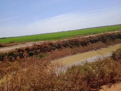 Fazenda / Sítio / Chácara à venda, 72600000m² no Javaés, Lagoa da Confusão
