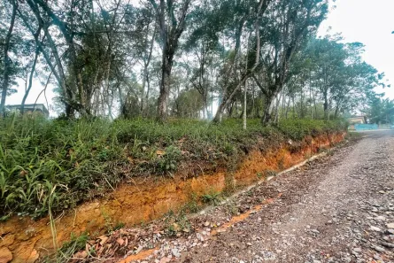 Terreno / Lote / Condomínio com 1 Quarto à venda, 2054m² no Parque do Governador, Rio Grande da Serra