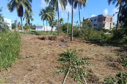 Terreno / Lote / Condomínio à venda, 300m² no , Maragogi