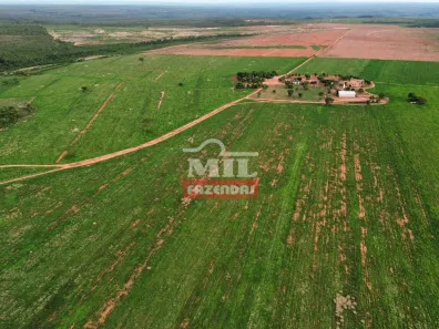 Fazenda / Sítio / Chácara à venda, 500m² no Setor Central, Ponte Alta do Tocantins