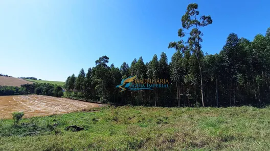 Fazenda / Sítio / Chácara à venda, 1365m² no São Salvador, Cascavel