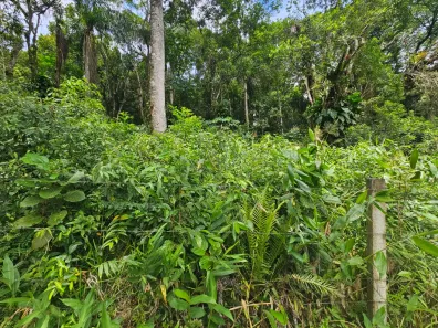 Terreno / Lote / Condomínio à venda, 2400m² no Antonina, Antonina