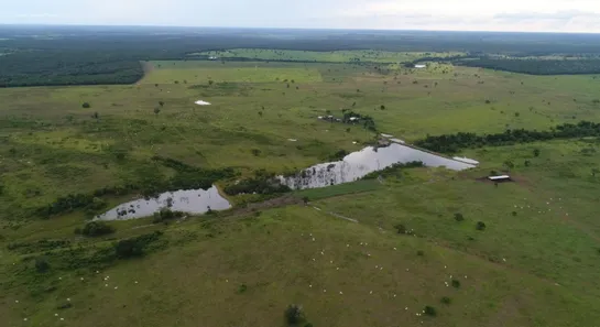 Fazenda / Sítio / Chácara à venda, 1388m² no Setor Central, Lagoa da Confusão