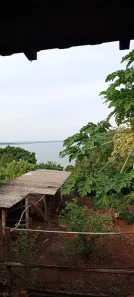 Fazenda / Sítio / Chácara com 2 Quartos à venda, 179m² no , Alvorada do Sul