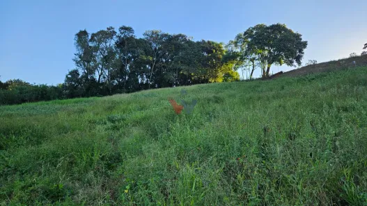 Fazenda / Sítio / Chácara com 1 Quarto à venda, 10975m² no Área Rural de Araucária, Araucária