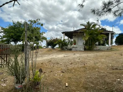 Fazenda / Sítio / Chácara com 2 Quartos à venda, 20000m² no , Sairé