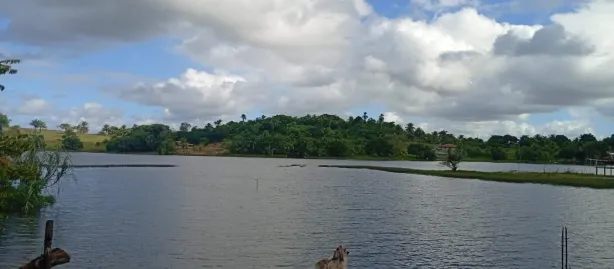 Fazenda / Sítio / Chácara com 3 Quartos à venda, 2900m² no , Mata de São João