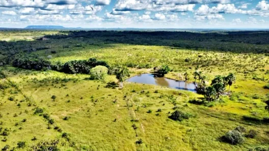 Terreno / Lote / Condomínio à venda, 100m² no Setor Central, Ponte Alta do Tocantins