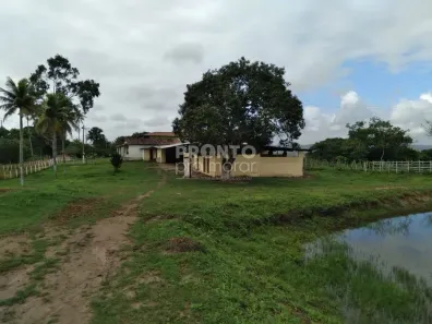 Fazenda / Sítio / Chácara com 4 Quartos à venda, 60000m² no Matriz, Vitória de Santo Antão