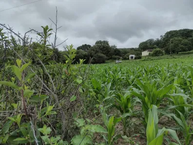 Terreno / Lote / Condomínio à venda, 20000m² no Zona Rural, Fortuna de Minas