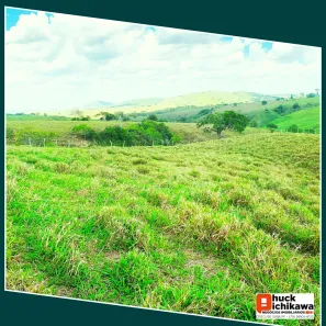 Fazenda / Sítio / Chácara com 3 Quartos à venda, 500000m² no Centro, Nossa Senhora das Dores