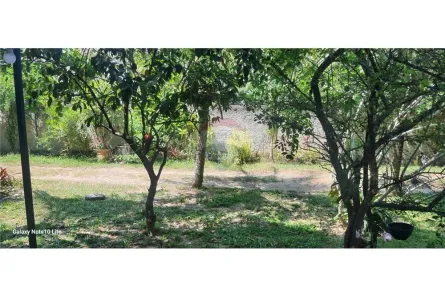 Fazenda / Sítio / Chácara com 3 Quartos à venda, 270m² no Pindobal (Ponta Negra), Maricá