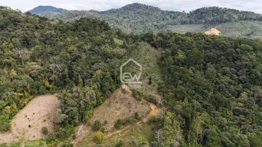 Fazenda / Sítio / Chácara com 1 Quarto à venda, 92651m² no , Massaranduba