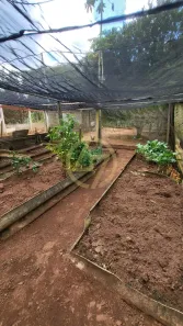 Fazenda / Sítio / Chácara com 4 Quartos à venda, 300m² no Aterradinho, Alambari