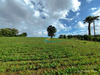 Fazenda / Sítio / Chácara à venda, 219000m² no , Catanduvas