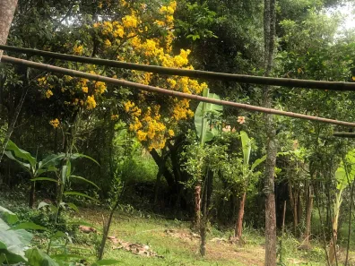 Fazenda / Sítio / Chácara com 1 Quarto para alugar, 1600m² no Area Rural de Paraibuna, Paraibuna