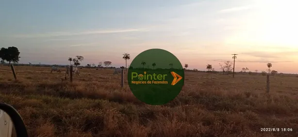 Fazenda / Sítio / Chácara à venda, 48593600m² no , Formoso do Araguaia