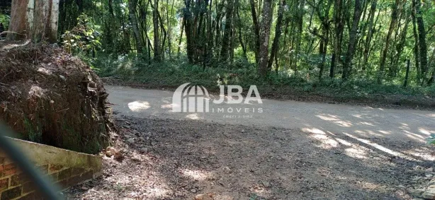 Fazenda / Sítio / Chácara com 2 Quartos à venda, 100m² no , Tijucas do Sul