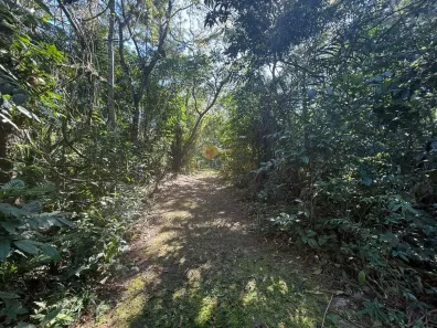 Fazenda / Sítio / Chácara à venda, 124000m² no Parque Nossa Senhora da Ajuda, Guapimirim