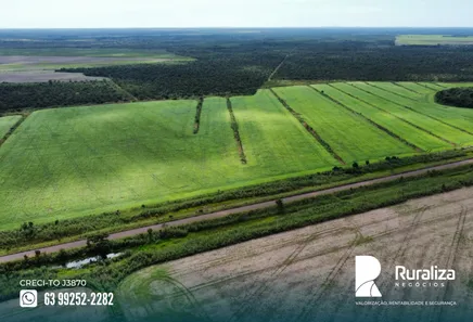 Fazenda / Sítio / Chácara à venda, 4244m² no , Pium