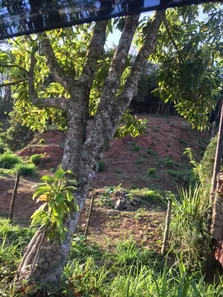 Terreno / Lote / Condomínio à venda, 823m² no Bingen, Petrópolis