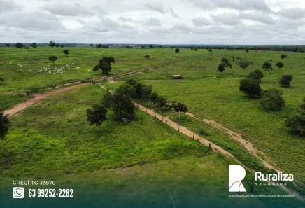 Fazenda / Sítio / Chácara à venda, 650m² no , Cristalândia