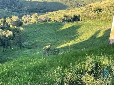Fazenda / Sítio / Chácara com 3 Quartos à venda, 30250m² no , Guaraniaçu