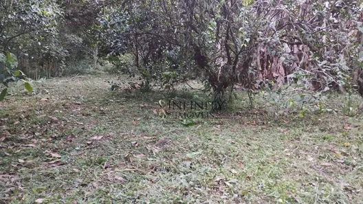 Fazenda / Sítio / Chácara com 2 Quartos à venda, 100m² no Vila Velha, Caçapava