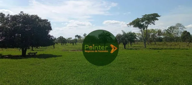 Fazenda / Sítio / Chácara à venda, 2041875m² no , Pium