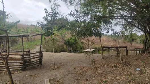 Fazenda / Sítio / Chácara com 4 Quartos à venda, 20000m² no Distrito Industrial (Prefeito José Augusto Ferrer de Morais), Vitória de Santo Antão