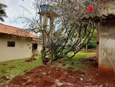 Fazenda / Sítio / Chácara com 2 Quartos à venda, 600m² no Assaí, Assaí