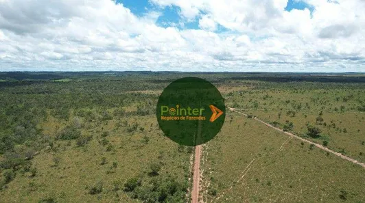 Fazenda / Sítio / Chácara à venda, 4900500m² no , Ponte Alta do Tocantins
