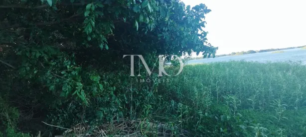 Fazenda / Sítio / Chácara com 2 Quartos à venda, 17000m² no , Petrolina