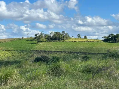 Fazenda / Sítio / Chácara à venda, 330000m² no , Sairé