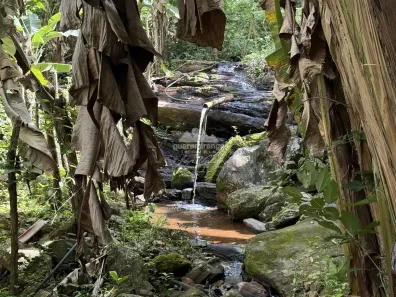 Fazenda / Sítio / Chácara com 6 Quartos à venda, 30000m² no , Pacoti