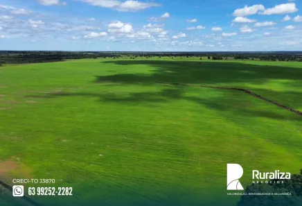Fazenda / Sítio / Chácara à venda, 2100m² no , Pium