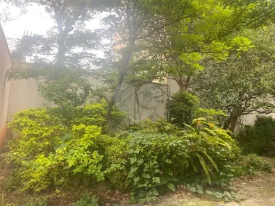 Terreno / Lote / Condomínio à venda, 80m² no Vila Constança, São Paulo