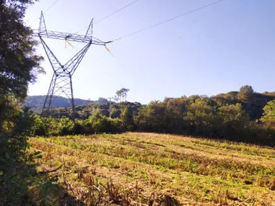 Fazenda / Sítio / Chácara à venda, 12700m² no Restinga Seca, Almirante Tamandaré