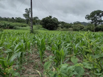 Terreno / Lote / Condomínio à venda, 20000m² no , Fortuna de Minas