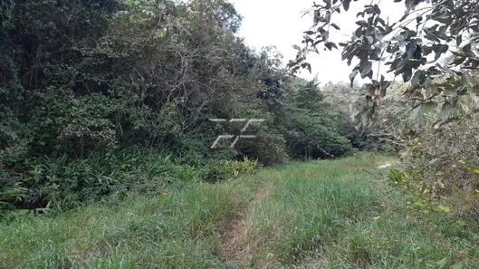 Fazenda / Sítio / Chácara à venda, 40753m² no Centro, Ipeúna