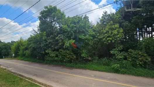 Fazenda / Sítio / Chácara com 1 Quarto à venda, 11000m² no São Miguel, Almirante Tamandaré
