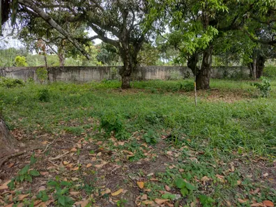 Terreno / Lote / Condomínio à venda, 896m² no Aldeia dos Camarás, Camaragibe