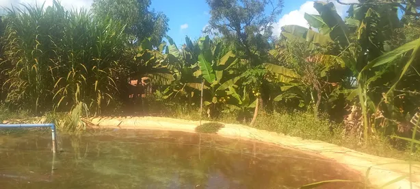 Fazenda / Sítio / Chácara com 2 Quartos à venda, 5000m² no , Brasília